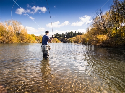Fly Fishing for Trout in a River in Tongariro