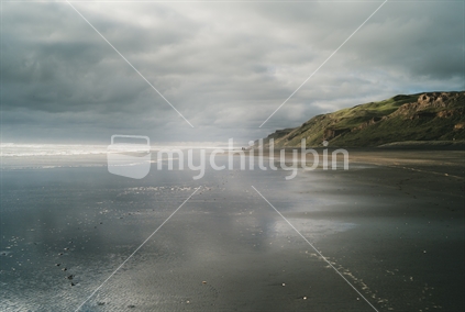 New Zealand Coastal Landscape