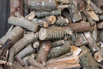 Pile of cut dry firewood