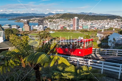 Wellington Cable Car and view of Wellington City from Kelburn Lookout