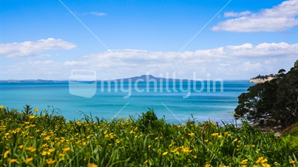 View of Rangitoto Island from Long Bay | Auckland, NEW ZEALAND