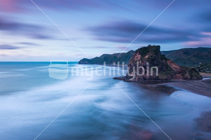 Lion Rock, Piha Beach at sunset | Auckland, NEW ZEALAND