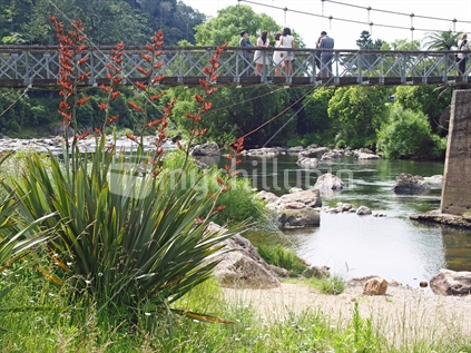 Tourists on the swing bridge at the beginning of the walking trails in the Karangahake gorge.