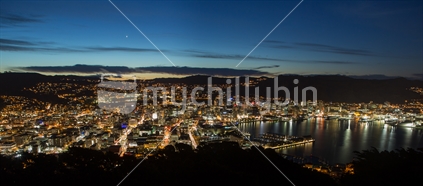 Wellington City Lights from Mt Victoria