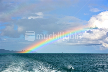 Rainbow - kawau island