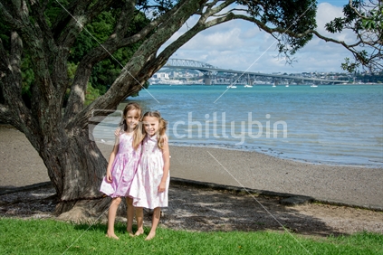 Best friends, under a Pohuktukawa Tree, with the the Auckland Harbour Bridge beyond. 