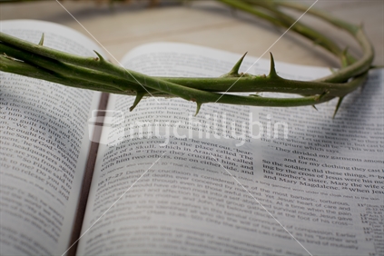 Christian Bible Crucifixion Text, with NZ Berry Thorns