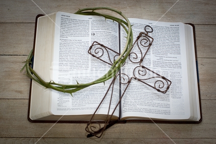 Christian Bible, Crucifixion Text, NZ Berry Thorns