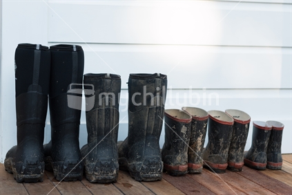 Collection of the family gumboots