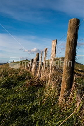 Fenceline with beautiful lighting, and leading the eye to a distant water tank on a hill.