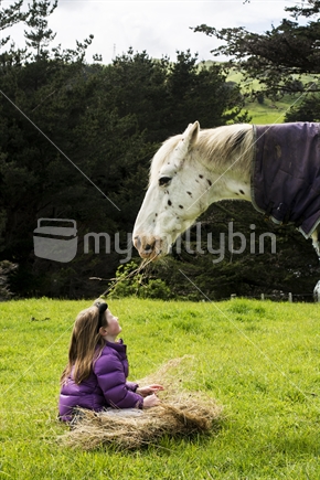Girl feeding pony hay