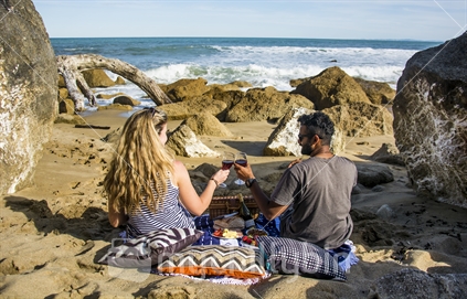 Picnic on the beach in New Zealand, Ethnic Diversity