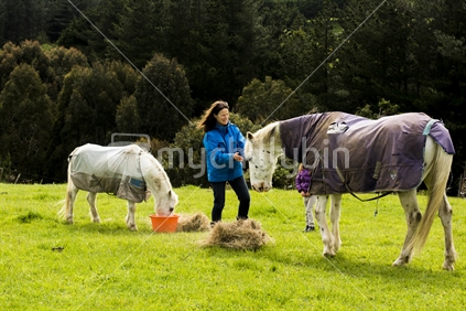 Kiwi Mother feeding a horse