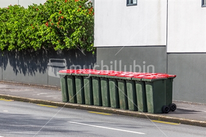 Council Rubbish Bins Outside Apartments