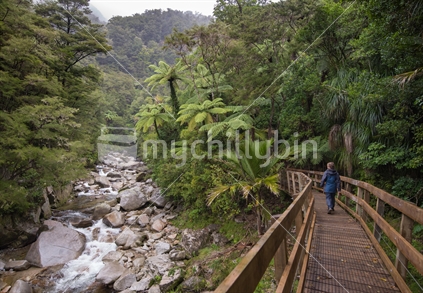 Tramper on bridge to Wainui Falls