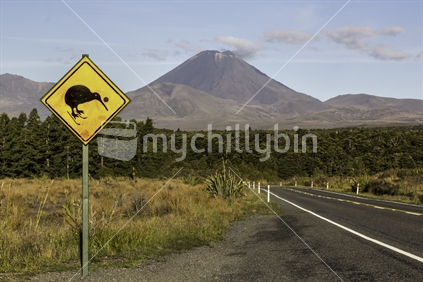 Kiwi Road Sign, Mount Tongariro