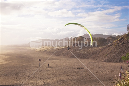 Paraglider at Muriwai