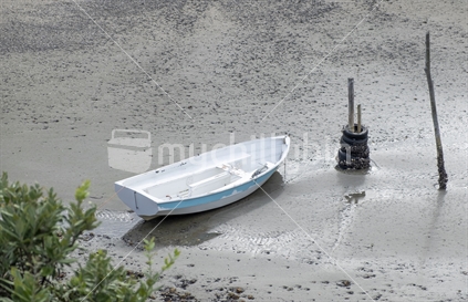 Small rowing/sailing boat tethered on the sand at Coleville bay North Island New Zealand.