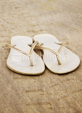 Pair of Havaianas Jandals