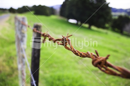 Rust on a barbed wire fence