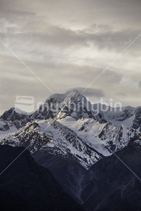 Mt. Tasman, Souther Alps