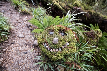 Graffiti - stones arranged into smiling face on stump in Lake Marain , Milford Sound 