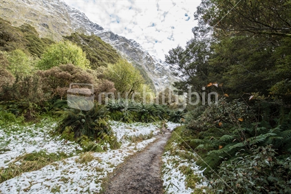 Snow on Lake Marian Track in Milford Sound