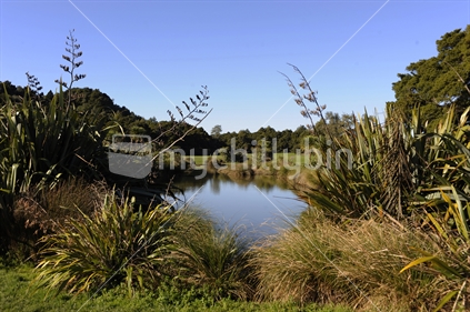 Botanical Garden in Manukau New Zealand