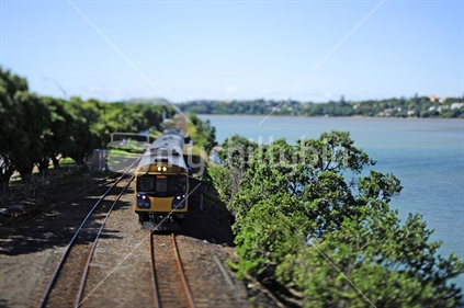 Auckland Coastal Train