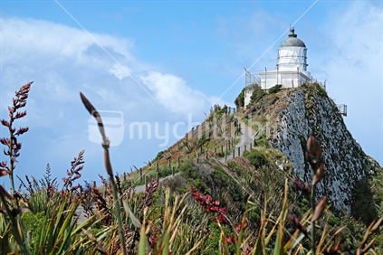 Nugget Point Lighthouse in New Zealand