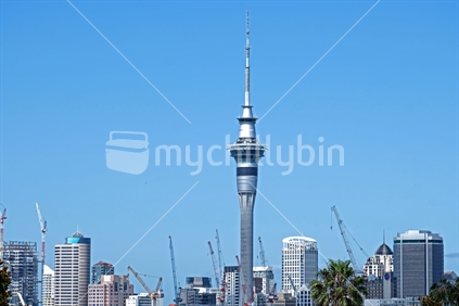 look at all the cranes in the central of Auckland, so many developments going on at the moment, our city is changing