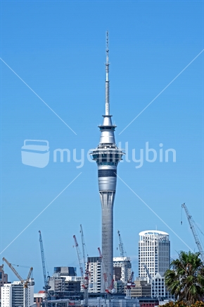 Look at all the cranes in the central of Auckland, so many development going on at the moment, our city is changing