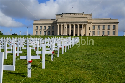White cross's for ANZAC day in front of the Auckland museum.