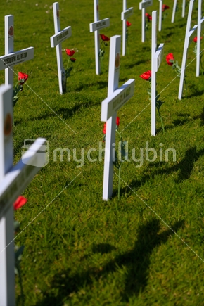 White cross's for ANZAC day on a field.