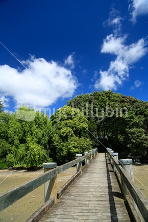 A wooden bridge looking back at the trees and sky.  Taken in Weymouth, Auckland.