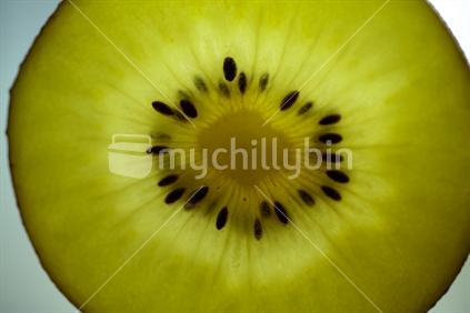 A gold kiwi fruit slice with a light behind it.