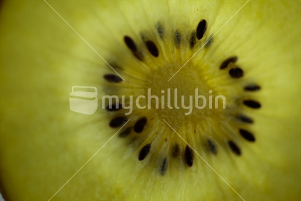 A close up of a gold kiwi fruit slice with a light behind it.