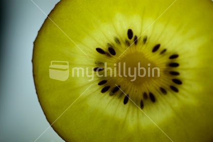 Part of a gold kiwi fruit slice with a light behind it.