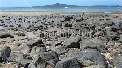 Rocks at Mission bay with the view of Rangitoto island in the background.