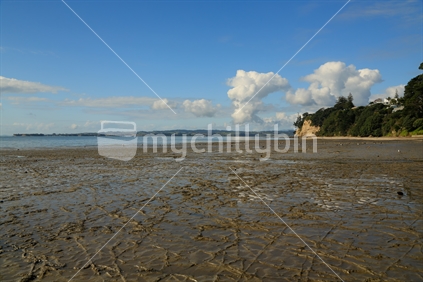 A view of Mellon's bay beach with nice textured mudflats, at low tide.