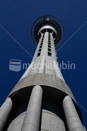 Looking up at the Auckland sky tower.