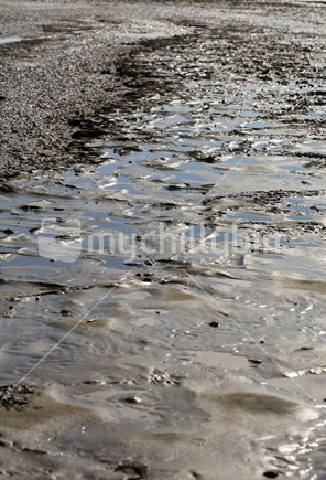 The surface of howick beach at low tide - limited depth of field - focus mid point