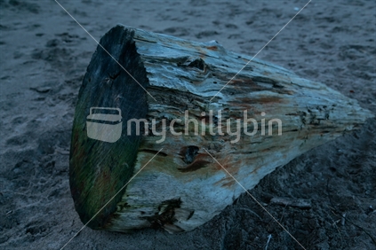 Burried Driftwood  Taken on Buffalo beach in Whitianga.