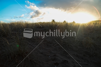 Buffalo beach in Whitianga as the sun is going down.  Copy Space.
