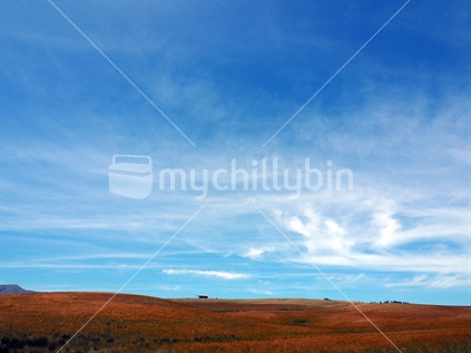 Blue skies and dry farmland, South Canterbury 