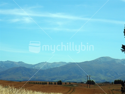 Dry grass and hills, South Canterbury