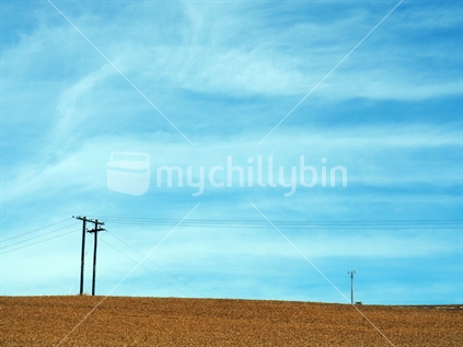 Dry hills and power lines, South Canterbury (foreground focus) 