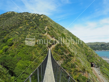Bridge on the Paekakariki Escarpment walk, Kapiti Coast