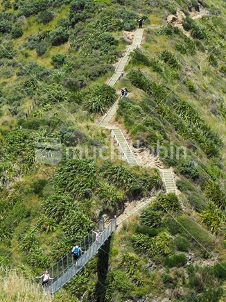 Paekakariki Escarpment Track, Kapiti Coast