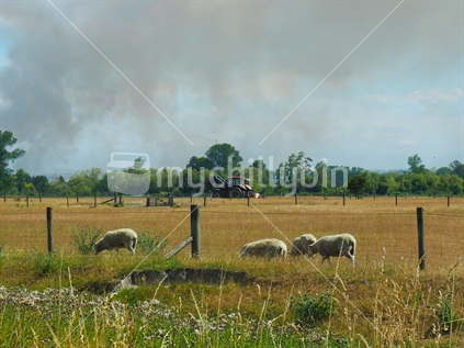 Smoke on farm, South Canterbury